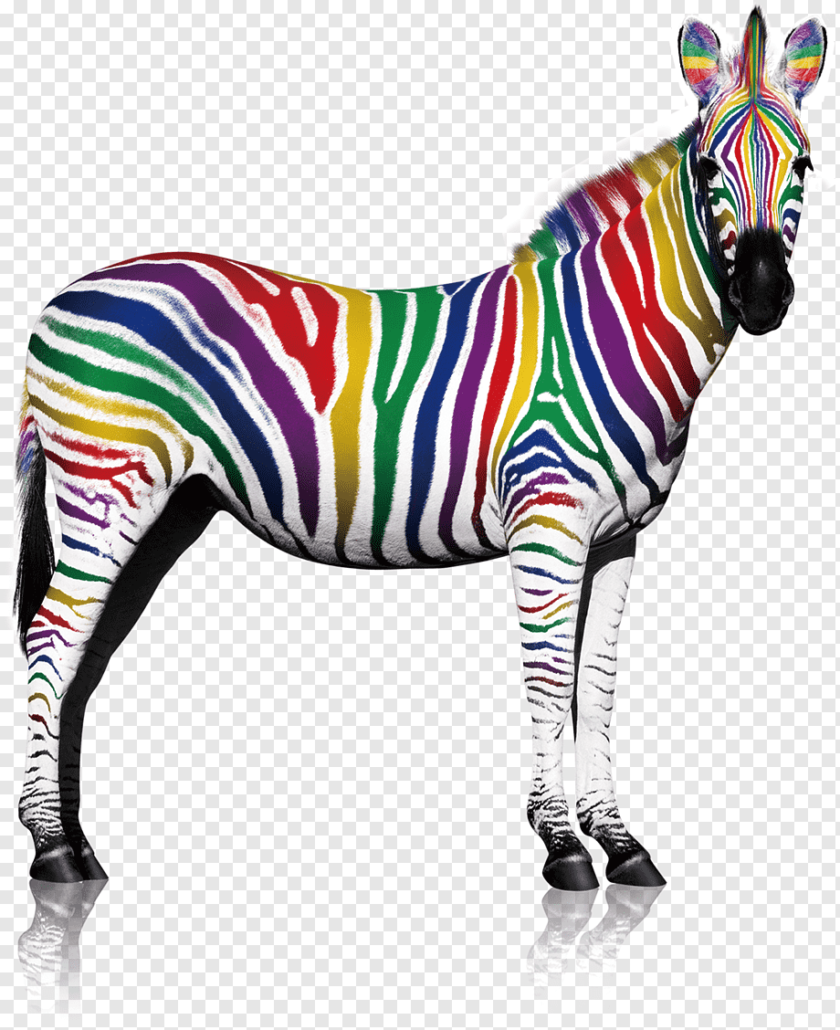 png-transparent-multi-colored-zebra-quagga-zebra-lacquer-printing-color-zebra-template-color-splash-mammal