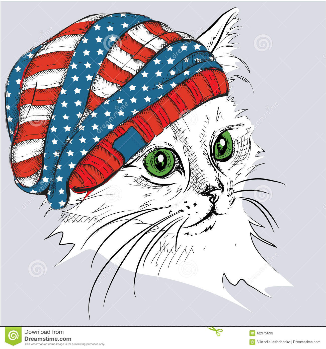 hand-draw-cat-hat-vector-illustration-62975693