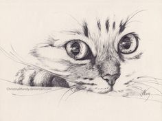 8e756023f2b70b5151142414a5b9522b--cat-drawing-art-images