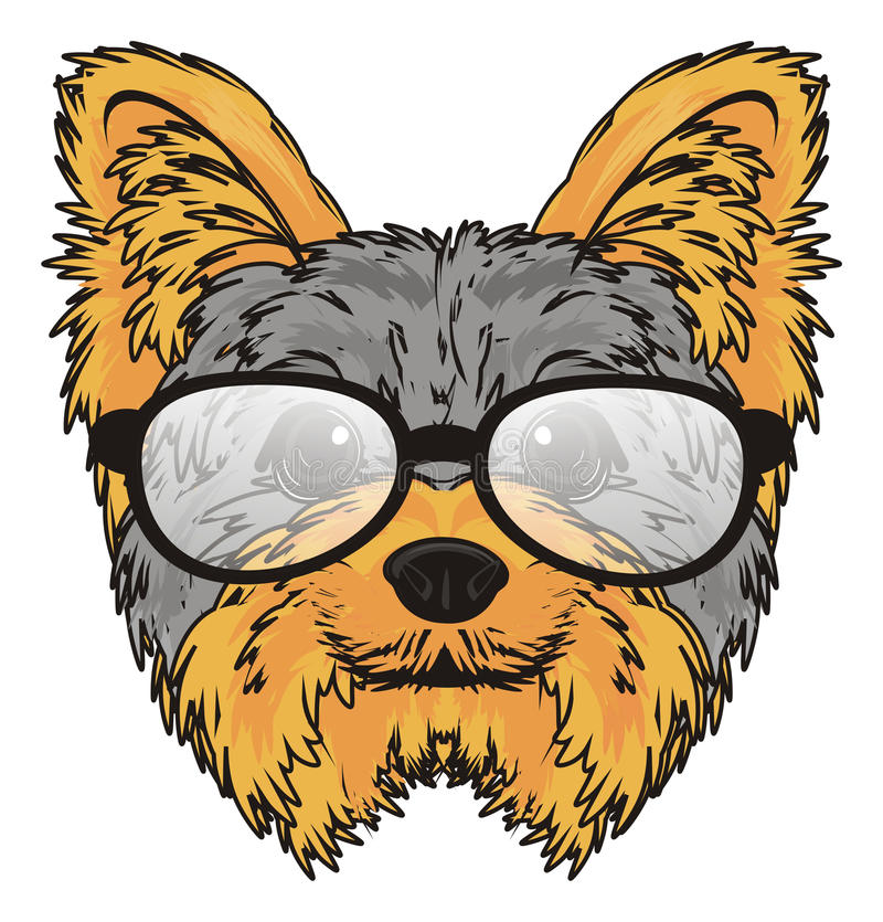 yorkie-glasses-head-yorkshire-terrier-black-gkasses-white-background-97905987