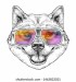 shiba-inu-dog-aviator-sunglasses-260nw-1463822021