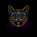 decorative-psychedelic-cat-portrait-black-background-line-art-stylized-face-colors-207708048