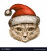 kitty-cat-in-santa-claus-hat-christmas-vector-22853287