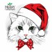 Cat-wearing-a-christmas-hat-vector