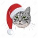92617055-cat-with-christmas-hat-isolated-on-white-background-cute-cat-face-wearing-santa-hat-