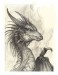 e7d08476dddcfdcbfa1052186966759d--drawings-of-dragons-dragon-drawings
