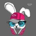 image-rabbit-glasses-headphones-hip-hop-hat-vector-illustration-image-rabbit-glasses-headphones-115659982