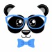 cute-panda-butterfly-tie-glasses-print-chinese-bear-t-shirt-vector-illustration-94141584