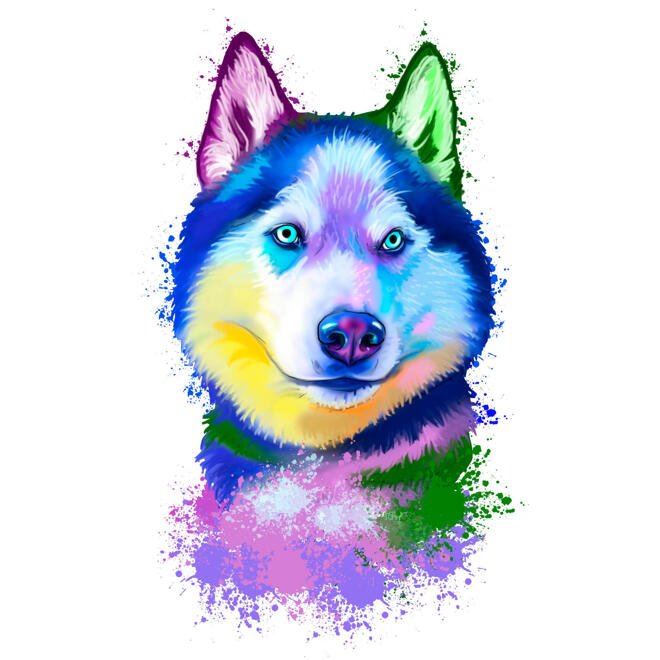 rainbow-akvarel-husky-portrét-kreslení-z-fotografií