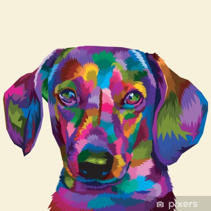 plakaty-barevne-daschund-na-pop-art.jpg