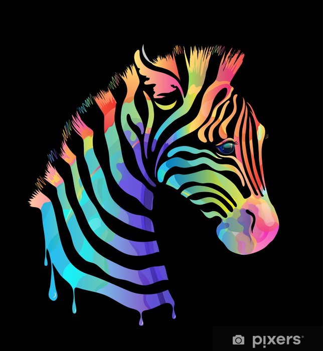fototapety-kolorowy-zebra-na-czarno.jpg