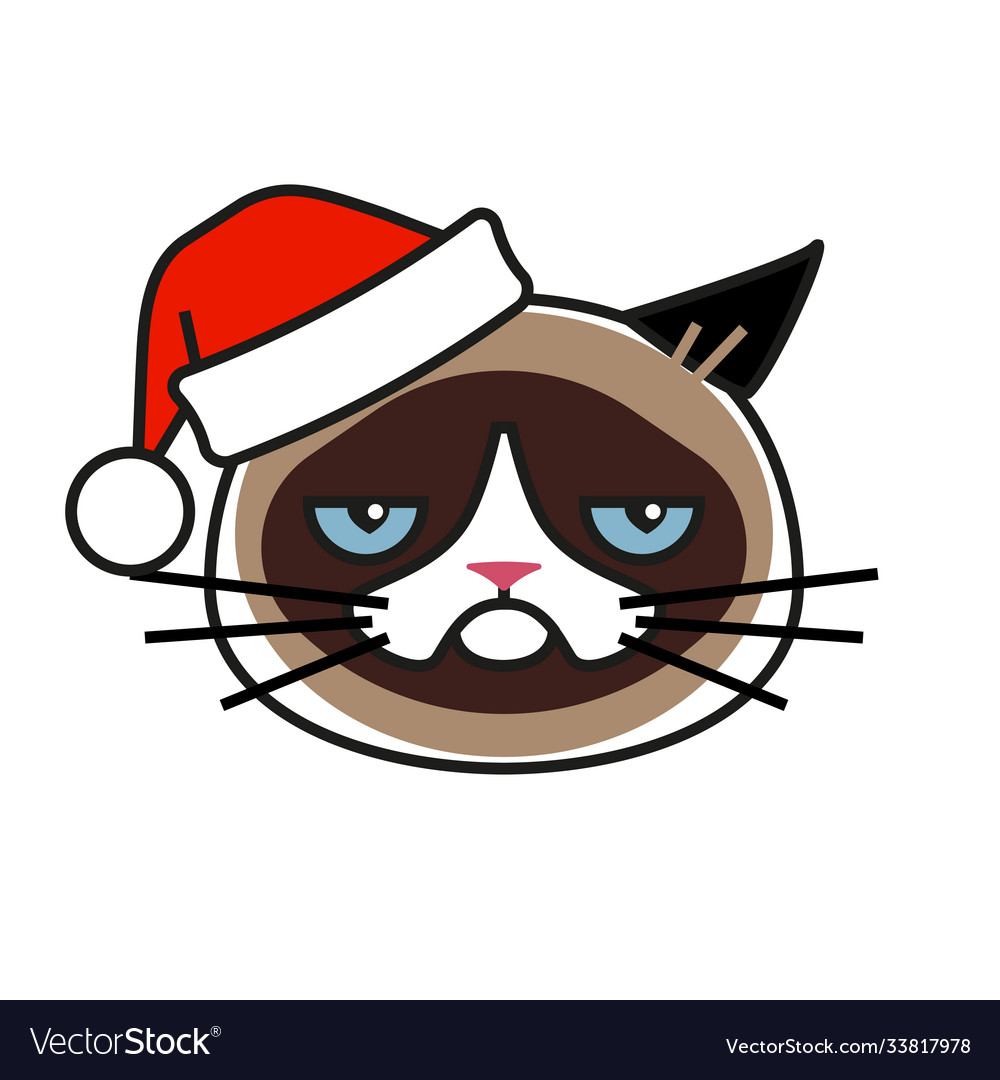 grumpy-cat-in-christmas-hat-isolated-on-white-vector-33817978