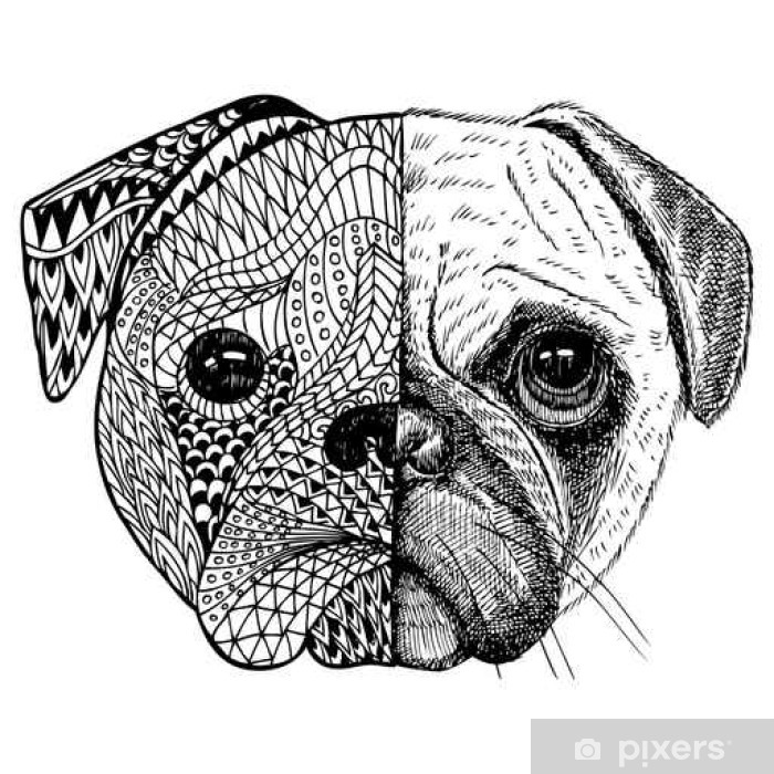 fototapety-rucne-malovana-pug-hlava-zentangle-stylizovane.jpg