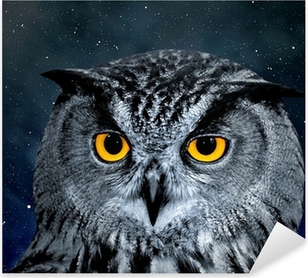 nalepky-eagle-owl-bubo-bubo