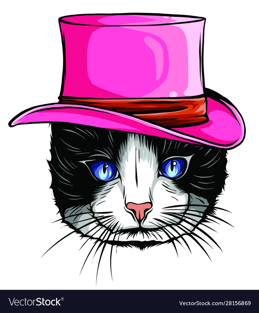 animal-portrait-cat-in-tall-hat-vector-28156869